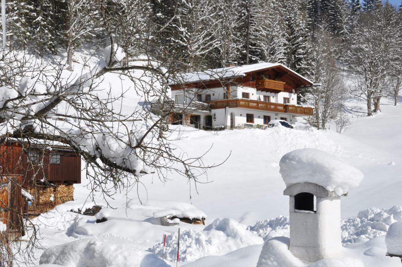 Gaestehaus Erle Ramsau am Dachstein Eksteriør billede
